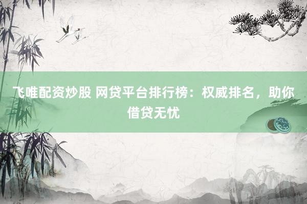 飞唯配资炒股 网贷平台排行榜：权威排名，助你借贷无忧