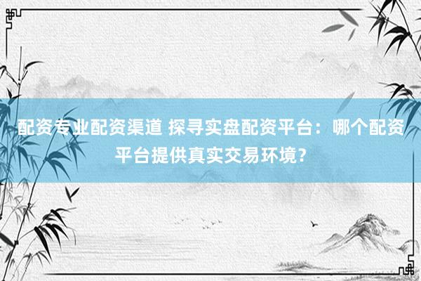 配资专业配资渠道 探寻实盘配资平台：哪个配资平台提供真实交易环境？