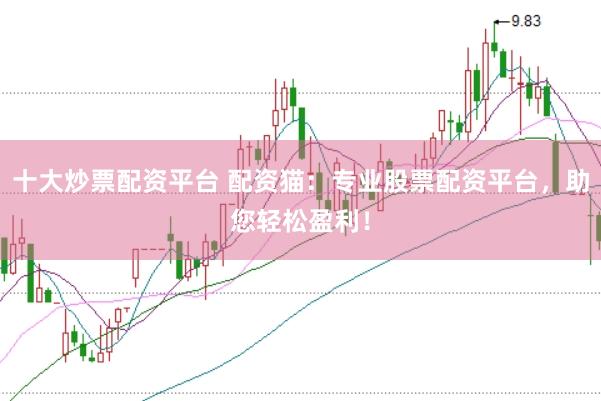 十大炒票配资平台 配资猫：专业股票配资平台，助您轻松盈利！