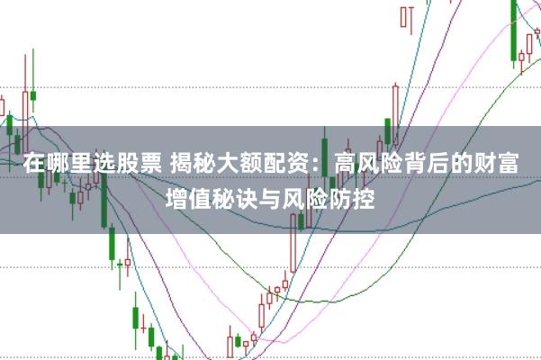 在哪里选股票 揭秘大额配资：高风险背后的财富增值秘诀与风险防控
