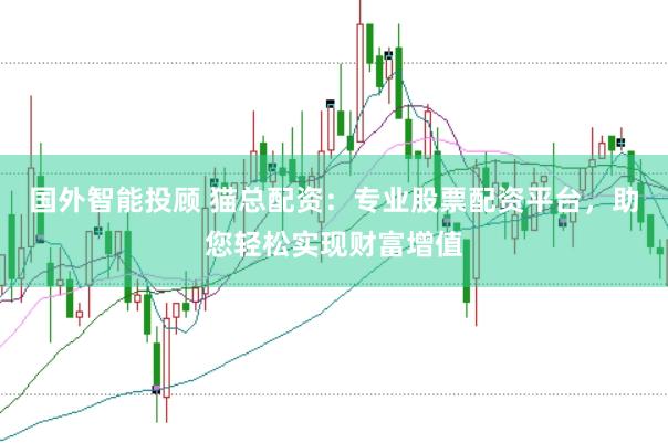 国外智能投顾 猫总配资：专业股票配资平台，助您轻松实现财富增值