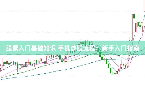 股票入门基础知识 手机炒股流程：新手入门指南