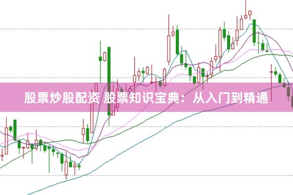 股票炒股配资 股票知识宝典：从入门到精通