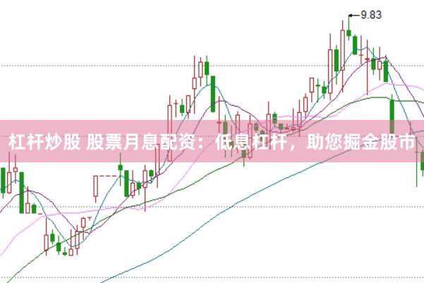 杠杆炒股 股票月息配资：低息杠杆，助您掘金股市