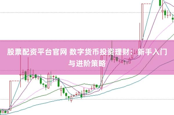股票配资平台官网 数字货币投资理财：新手入门与进阶策略