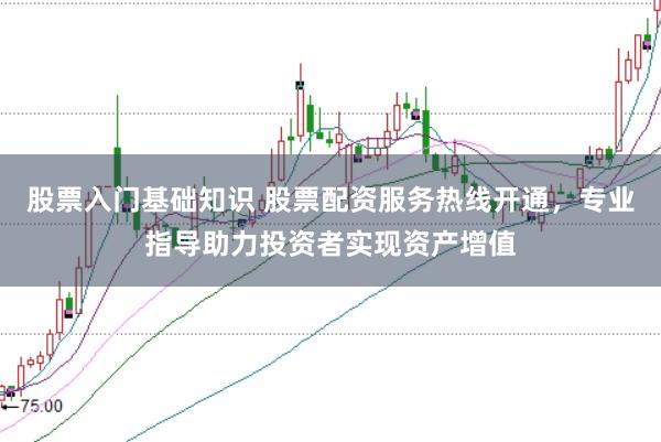 股票入门基础知识 股票配资服务热线开通，专业指导助力投资者实现资产增值