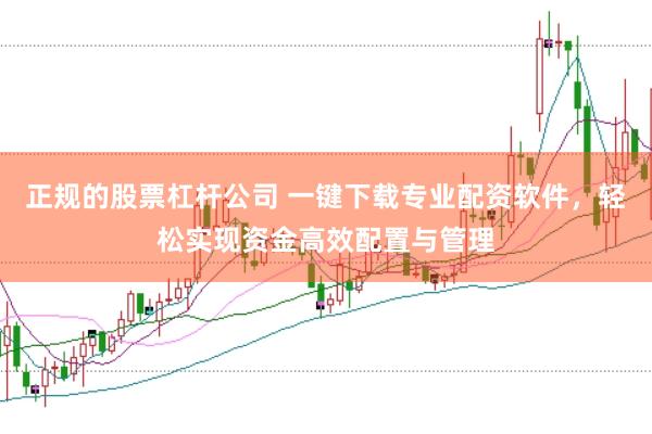 正规的股票杠杆公司 一键下载专业配资软件，轻松实现资金高效配置与管理