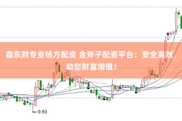 鑫东财专业杨方配资 金斧子配资平台：安全高效，助您财富增值！