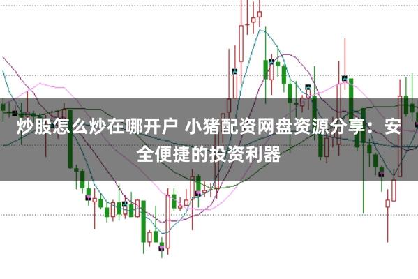 炒股怎么炒在哪开户 小猪配资网盘资源分享：安全便捷的投资利器