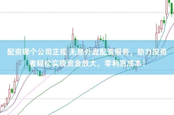 配资哪个公司正规 无息外盘配资服务，助力投资者轻松实现资金放大，零利息成本！
