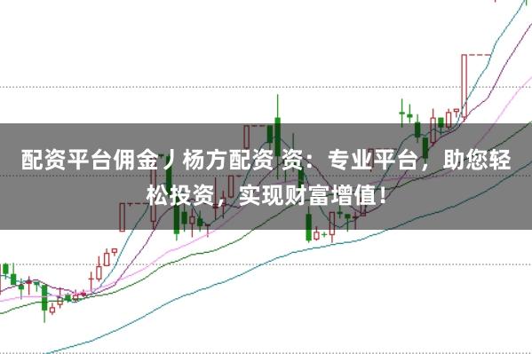 配资平台佣金丿杨方配资 资：专业平台，助您轻松投资，实现财富增值！