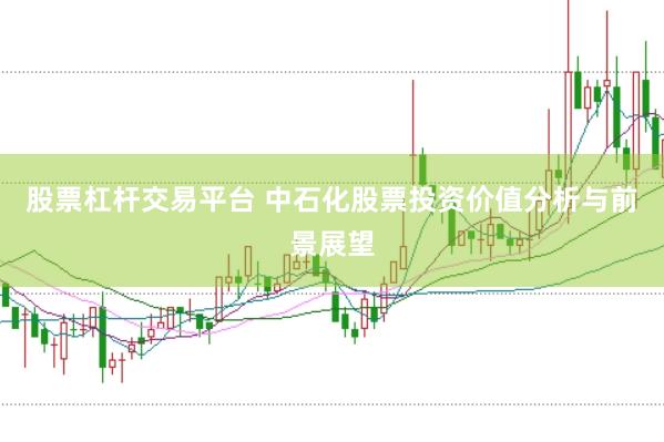 股票杠杆交易平台 中石化股票投资价值分析与前景展望
