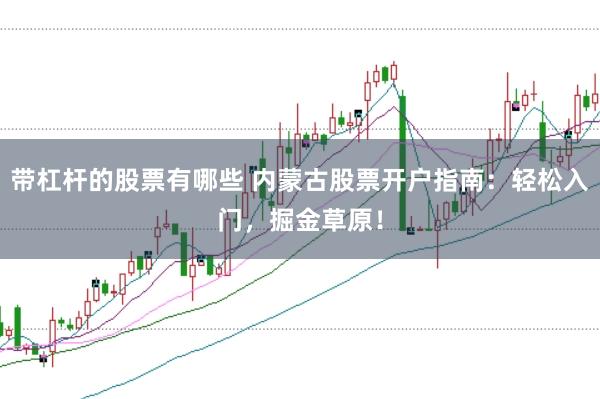 带杠杆的股票有哪些 内蒙古股票开户指南：轻松入门，掘金草原！