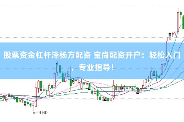 股票资金杠杆泽杨方配资 宝尚配资开户:轻松入门,专业指导!
