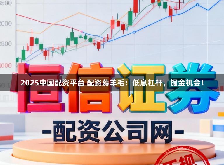 2025中国配资平台 配资薅羊毛:低息杠杆,掘金机会!