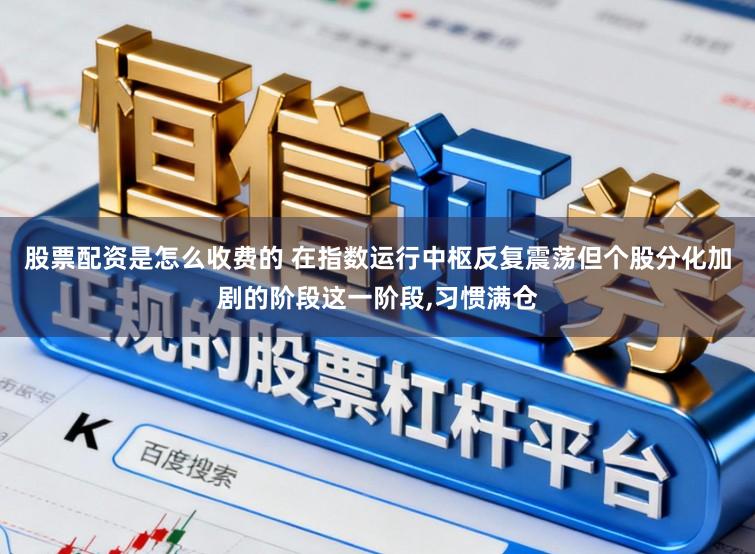股票配资是怎么收费的 在指数运行中枢反复震荡但个股分化加剧的阶段这一阶段，习惯满仓